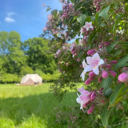 Glamping