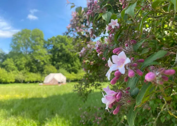 Glamping